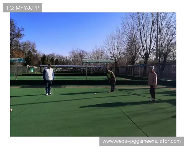 裁判员培训计划升级，意甲执法水平提升